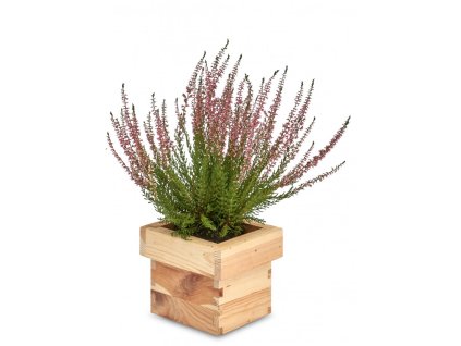 Drvena četvrtasta tegla za cvijeće 14 x 14 x 12 cm