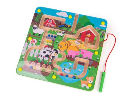 Magnetni labirint farma