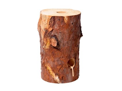 Švedska vatra s korom