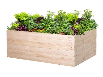 Drvena podignuta gredica 160 x 100 x 60 cm