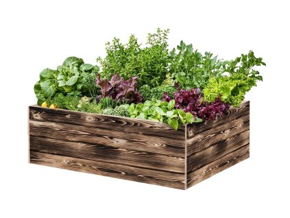 120 80 40 preplanula