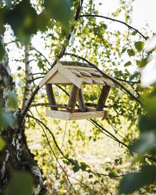 Ptičja kućica je mala kućica, ali ima zaista veliko značenje 🐦 Svaka kućica u vrtu znači: 🌳 Siguran dom za ptice 🎶...