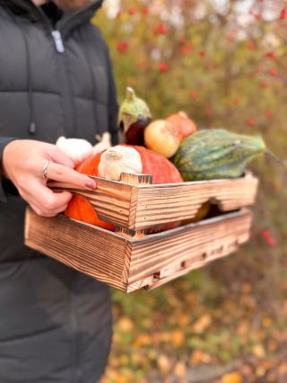 🍂 Vrijeme berbe je stiglo! 🍏 Voće, povrće i začinsko bilje zaslužuju stilski i praktičan dom – a za to su idealne drvene...